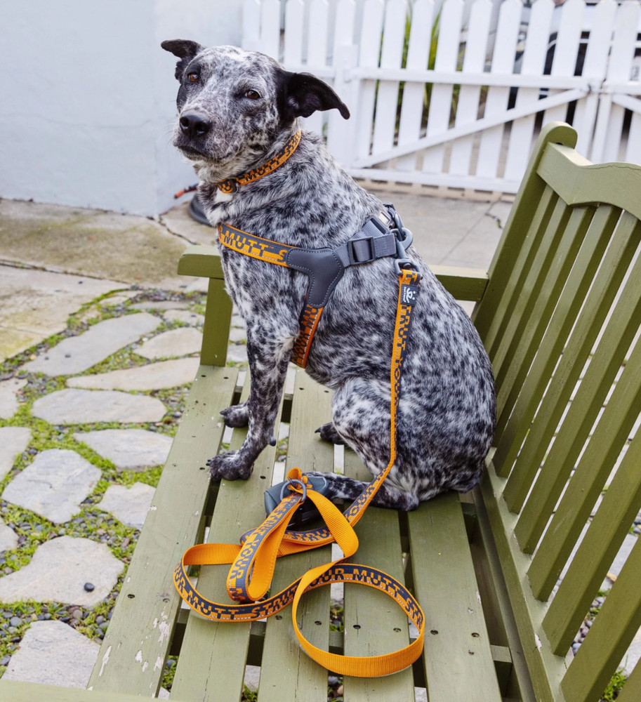 Comforrt Harness Size Large