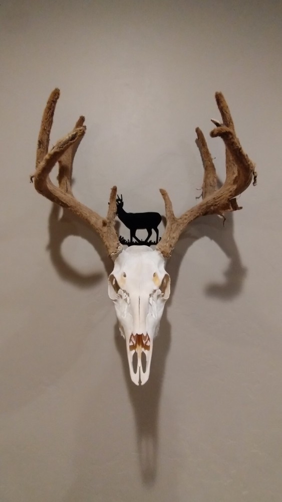 Whitetail Skull Hanger Black