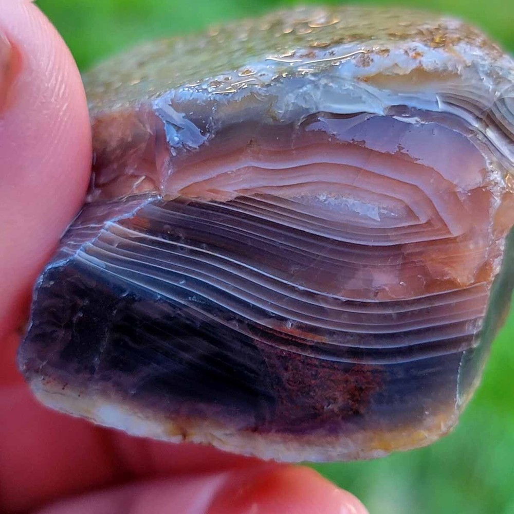 Random Pull RARE Botswana Agate Rough! Old Stock Lapidary Stone Materials!