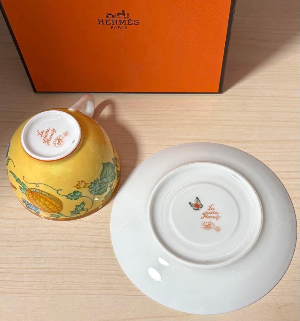 Hermes Siesta Teacup & Saucer Brand New Unused with Original Box Included