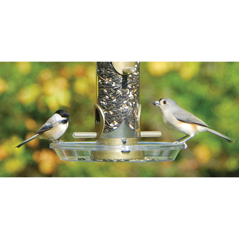 Aspects 050 Round Seed Tray, 8.5" Diameter