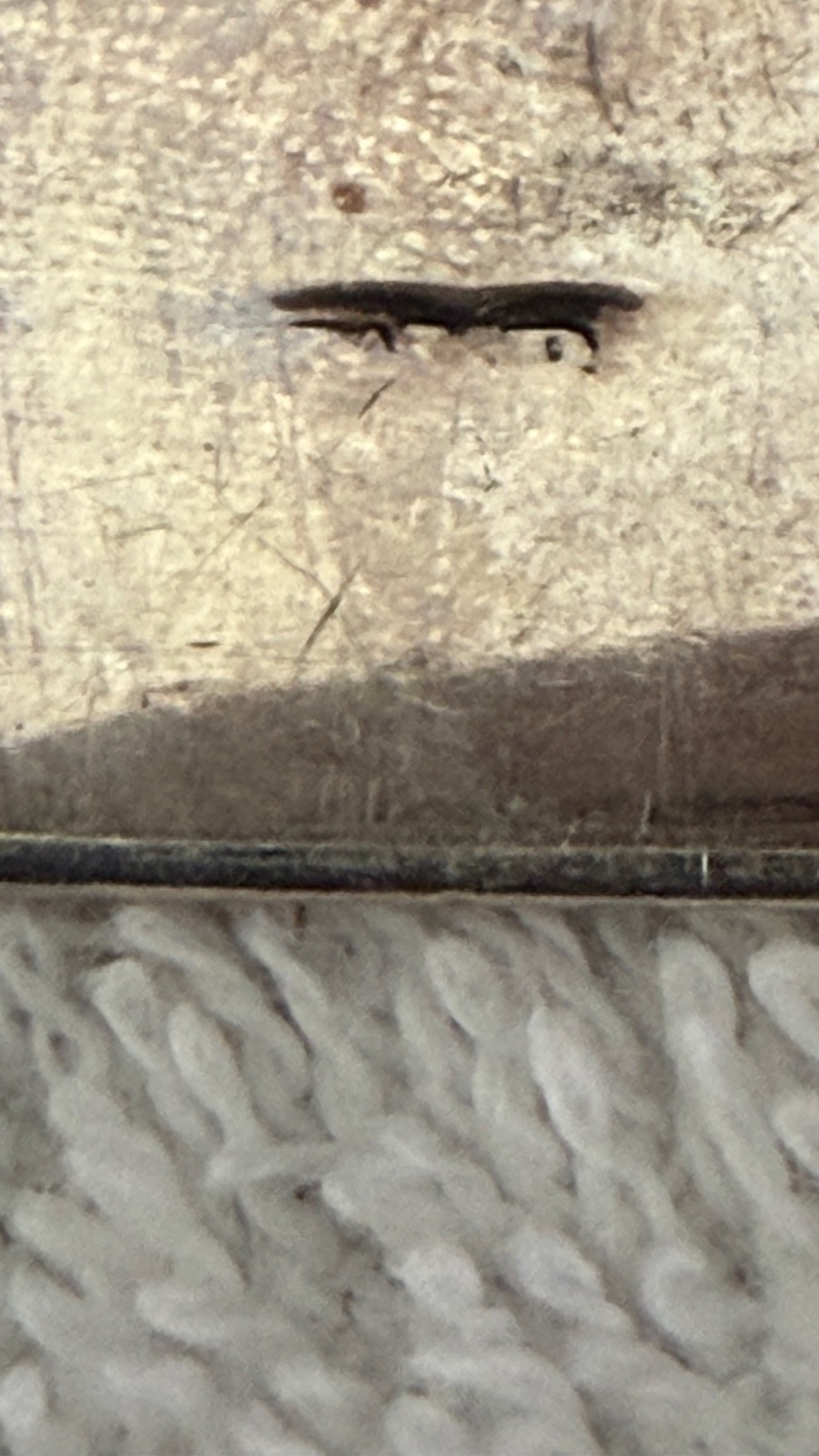 Georgian 1822 London Sterling Silver Sugar Tongs by William Bateman