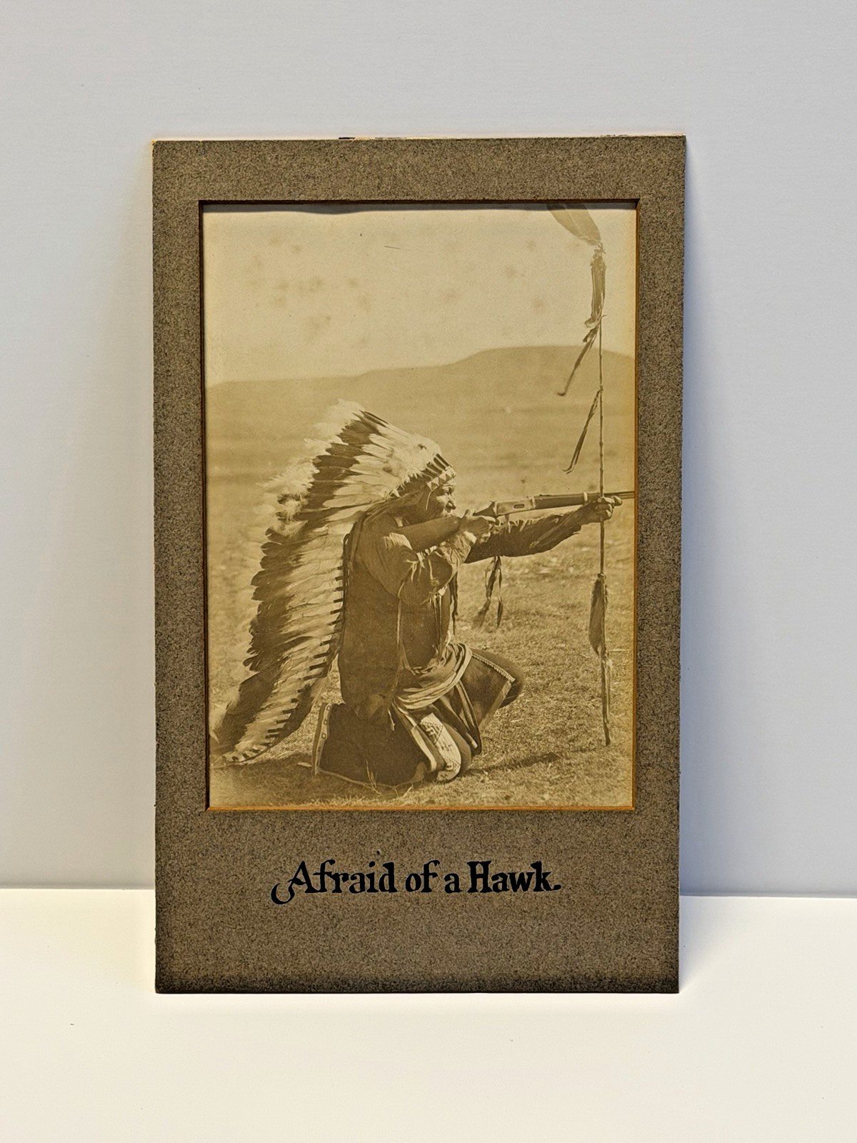Vintage Native American Photo: Afraid of A Hawk; Cabinet Card; Early 1900s