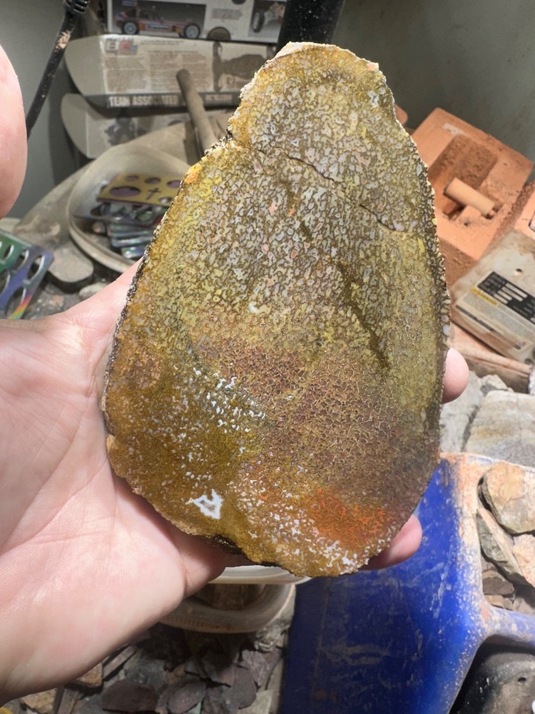 Dinosaur bone rough **hxtled slab.