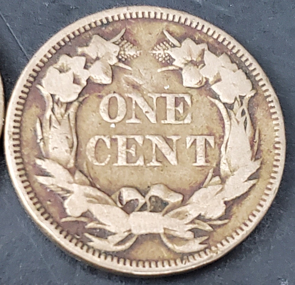 9 Mixed Flying Eagle & Indian Cent Collection