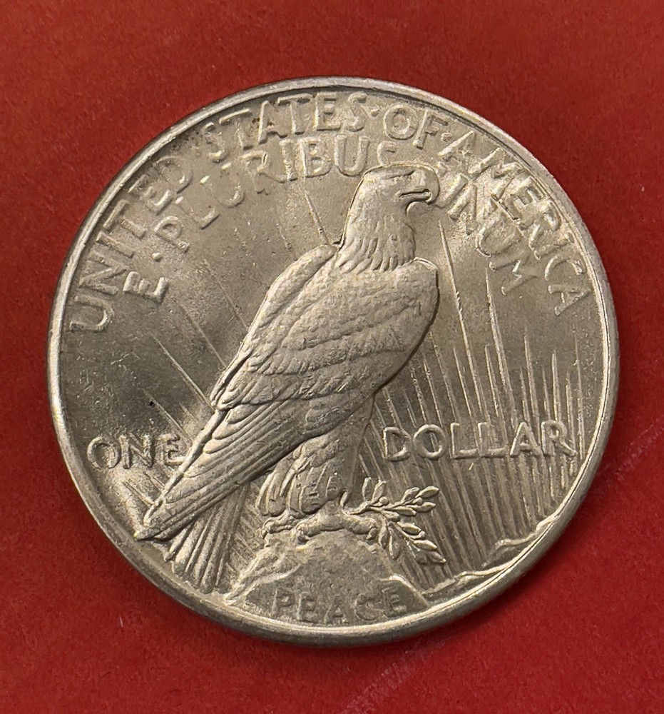 1925 P Peace Silver Dollar, Choice to Gem Uncirculated