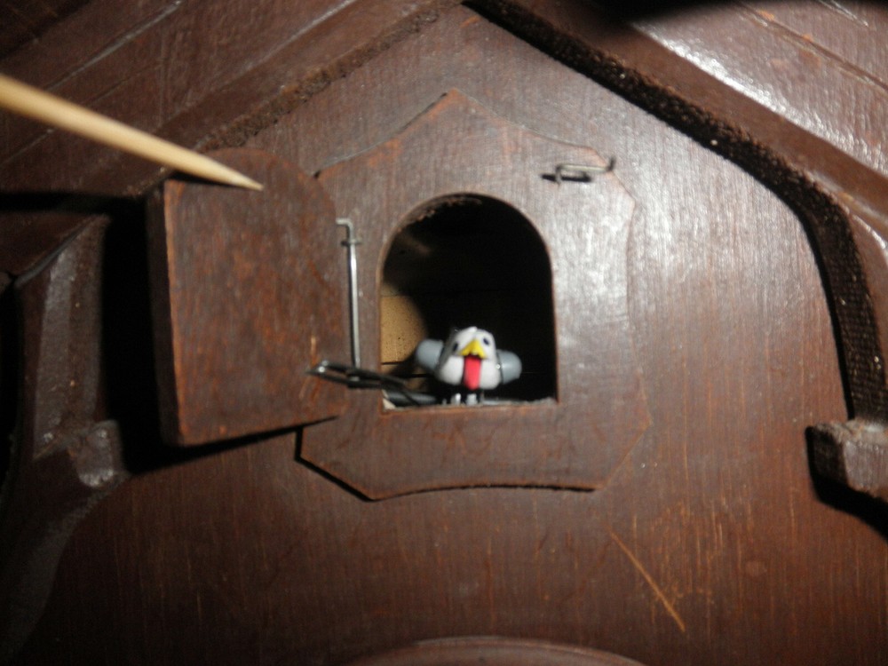 German Black Forest made working 8 day Cuckoo Clock CK2809
