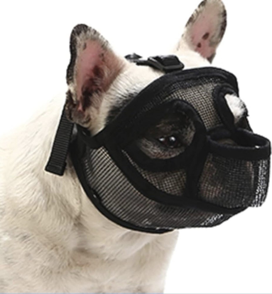 Small Mesh Dog Muzzle
