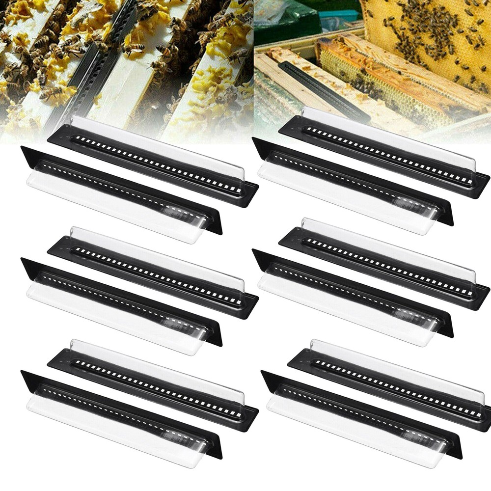 10Pcs Black Small Bee Hive Beetle Blaster Beehive Beetle Trap Beekeeping Tools