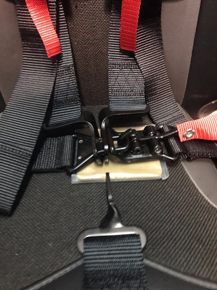 RZR 1000 5 Point Harness (Pair) FAST SHIPPING