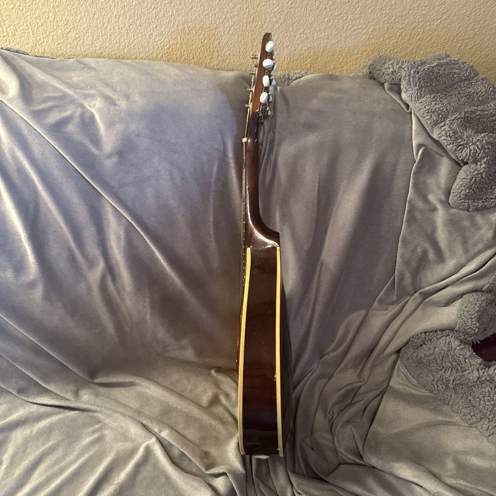 60’s70’s Norma Electric Mandolin