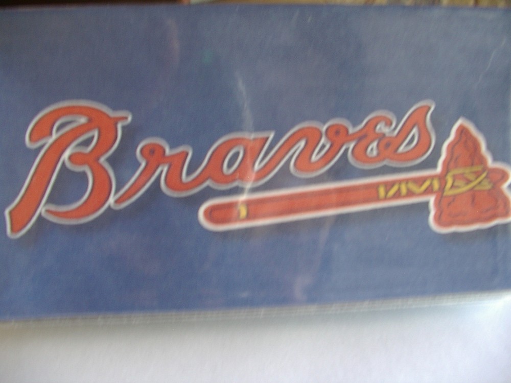 Braves vinyl Checkbook cover