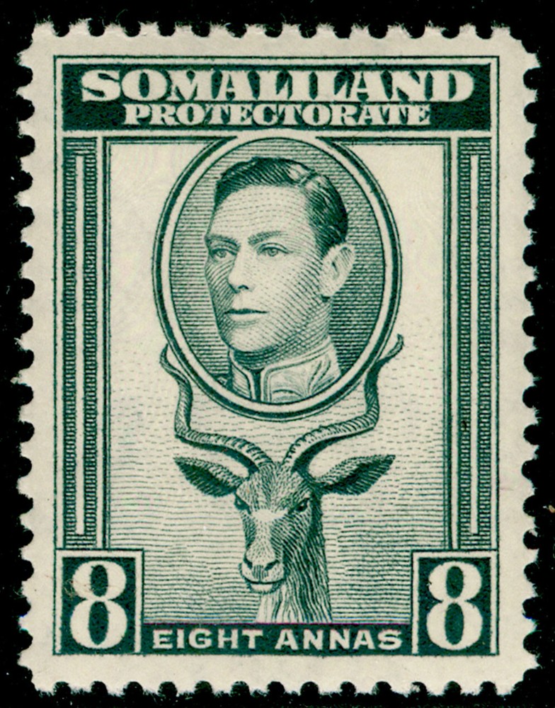 SOMALILAND PROTECTORATE SG99, 8a grey, VLH MINT.