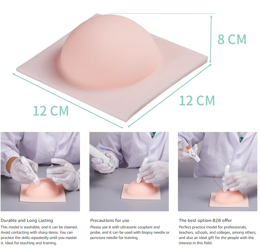 Breast Ultrasound Puncture Model Practical Teaching Biopsy 4 Simulated lesions