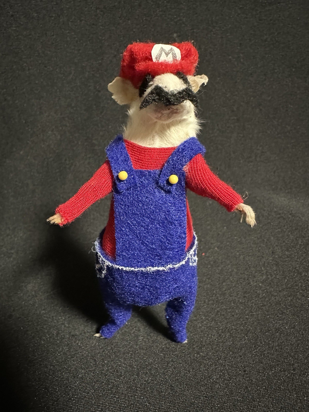 Taxidermy Mouse Super Mario Mouse Oddities Curiosities Taxidermy Art