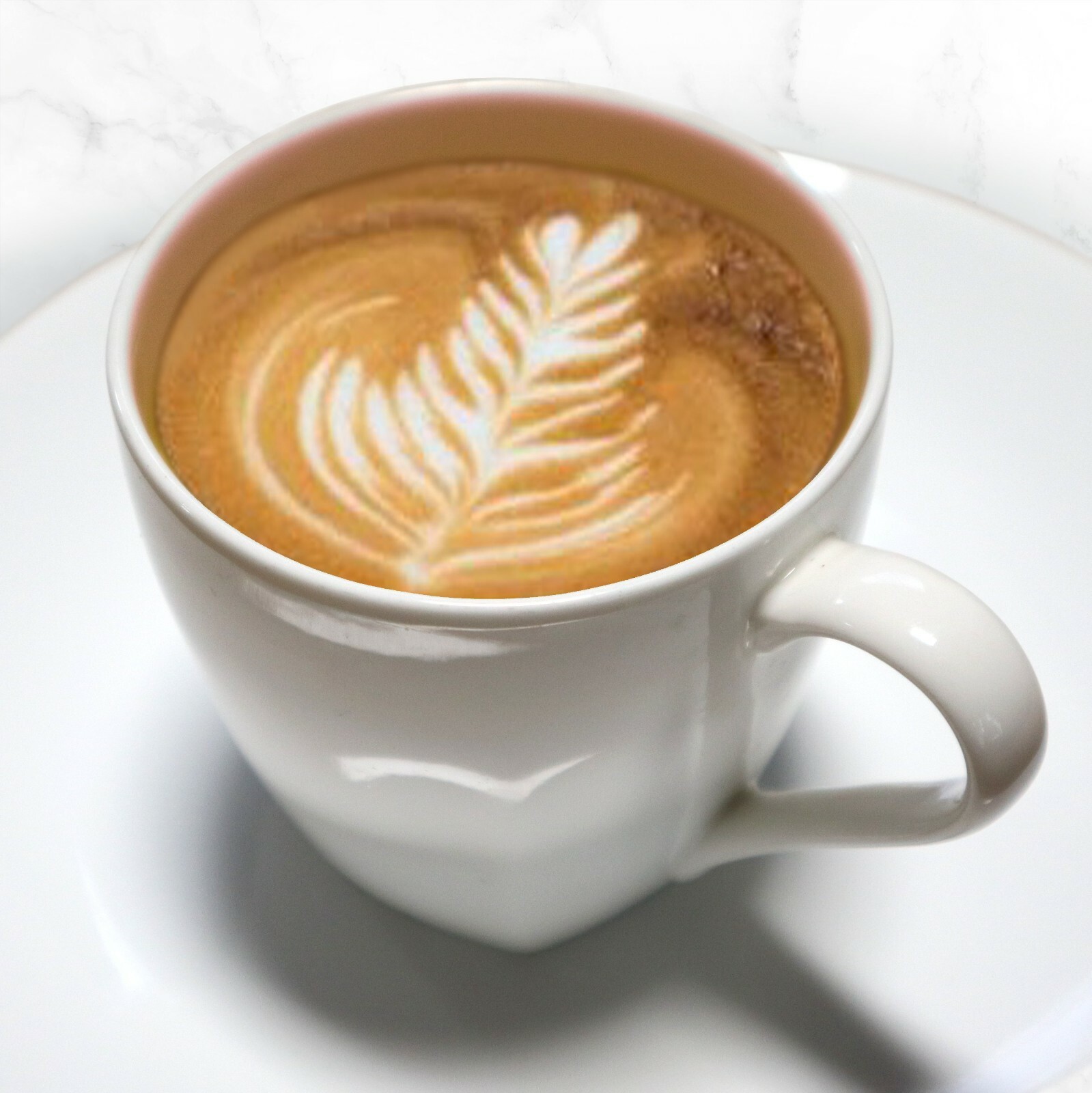 CAcafe Coconut Coffee