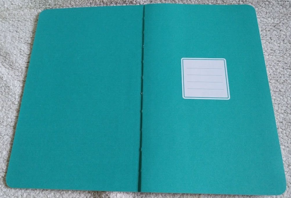 Green Inspired Journal TODAY IS THE DAY.