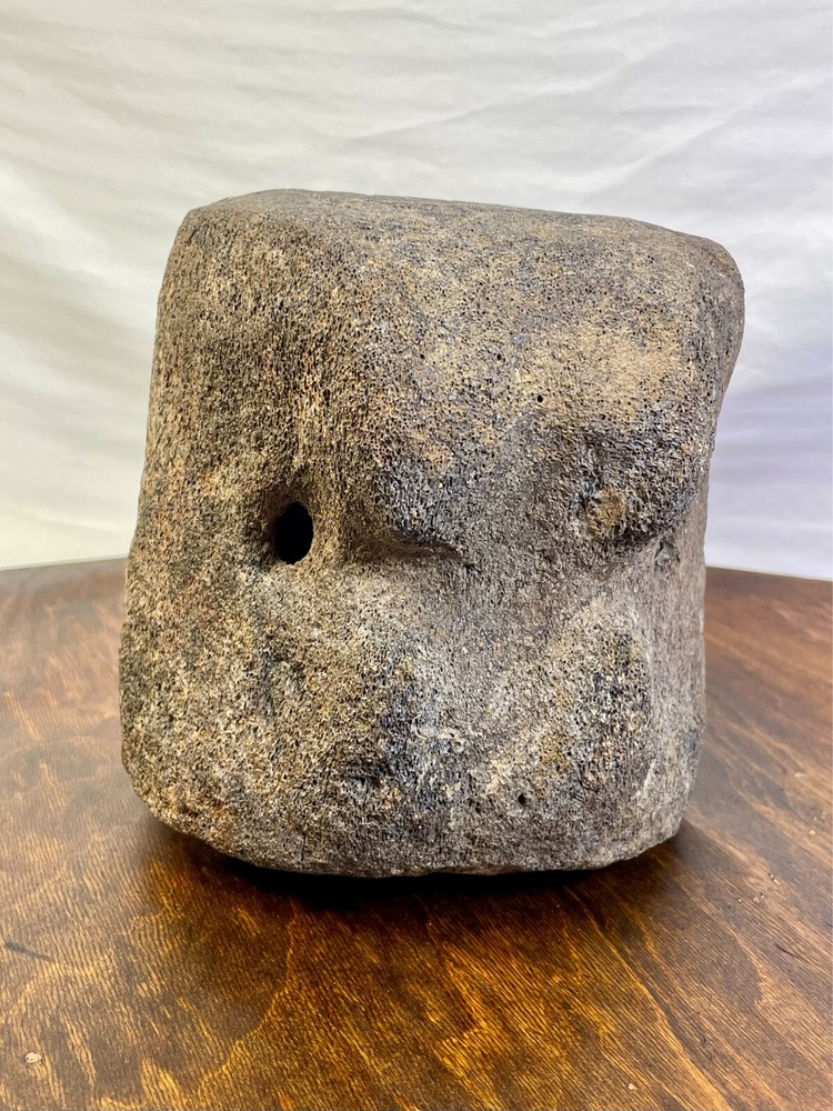 Authentic Fossilized Whale Vertebrae Bone - Unique Textured Display Piece