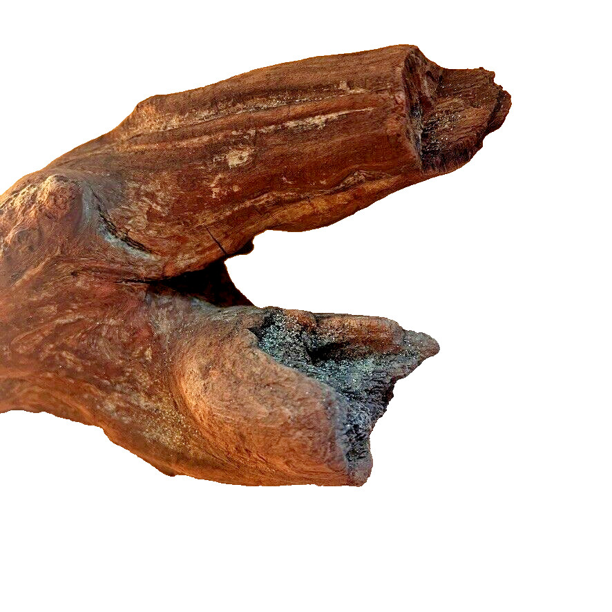 18" x 5" Redwood Driftwood Organic Craft Aquarium Rustic Boho Natural Wood