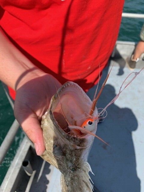 FLOATING JIGS, 12, 3/0 HOOK, ASSORTED COLORS, FLUKE CANDY