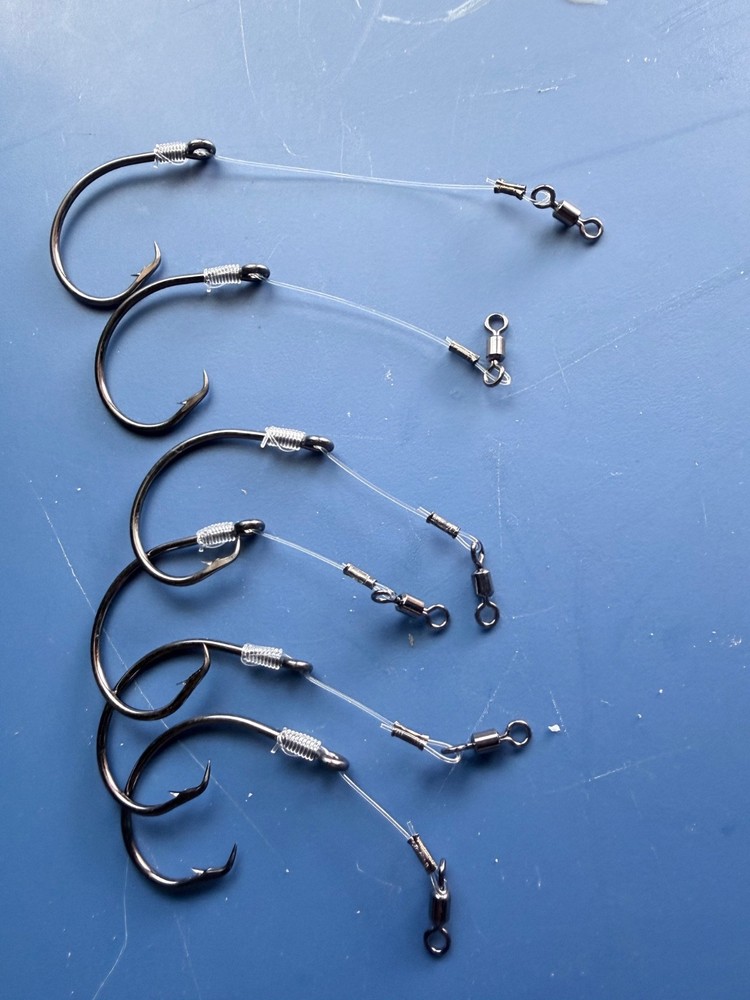 Drum rigs 10/0 circle hooks