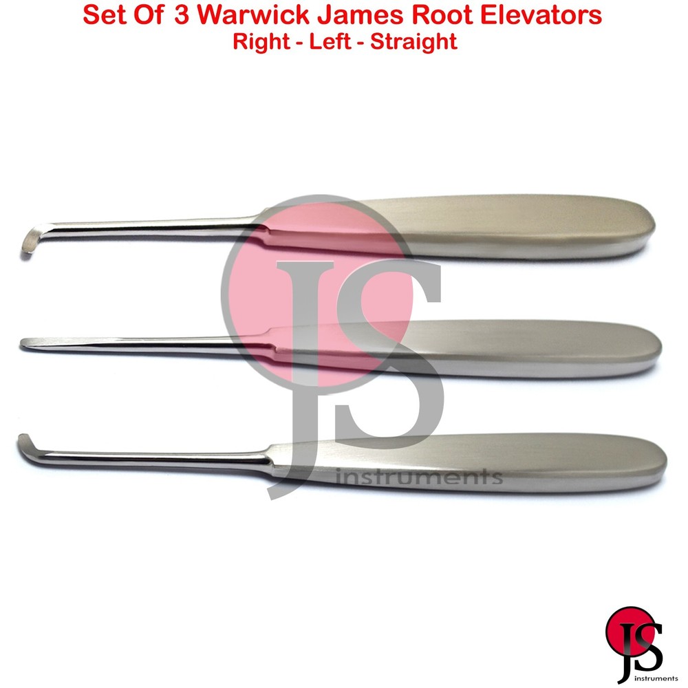 Teeth Loosening Root Elevator Warwick James Tooth Extraction Extracting Dental
