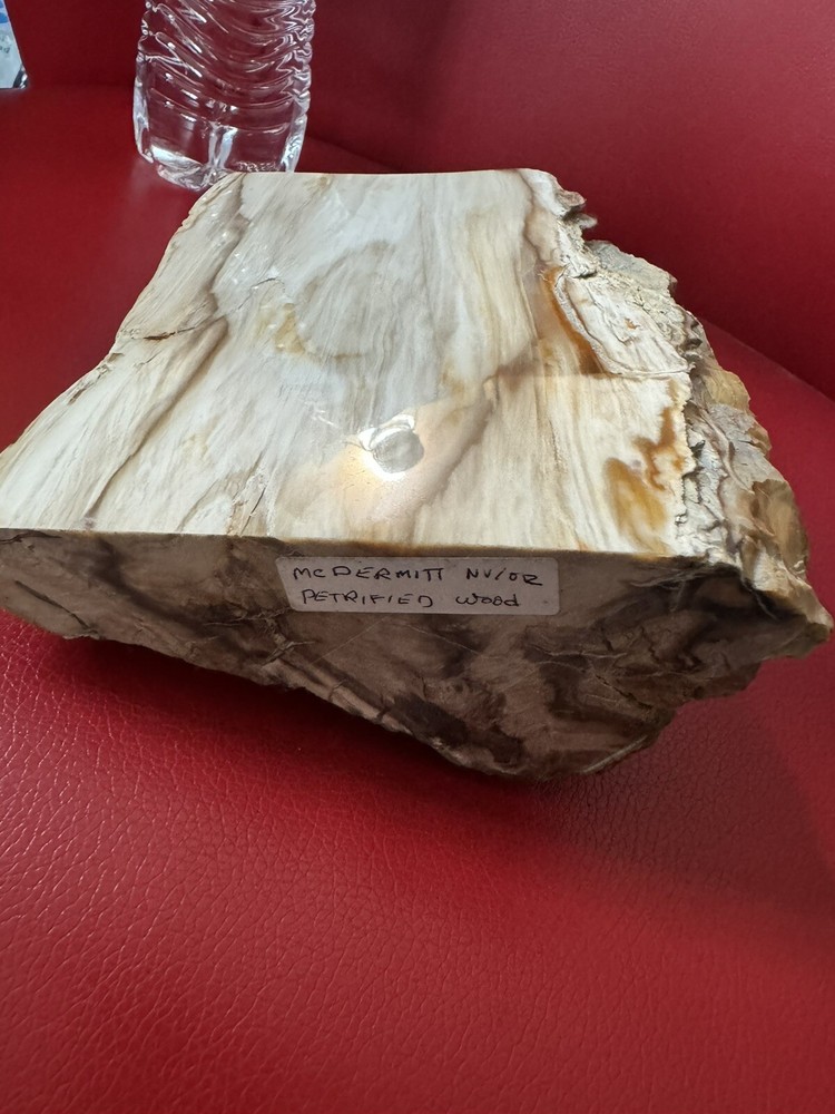 Petrified Wood Log. Marble surface