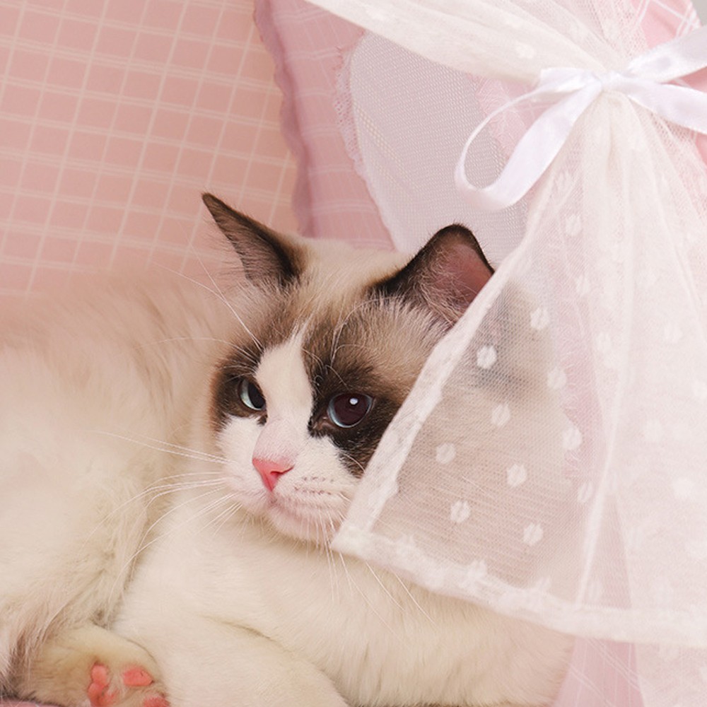 Cat Dog House Tent Pet Puppy Kitty Nesting Bed Kennel Sleeping Rest Play Cave