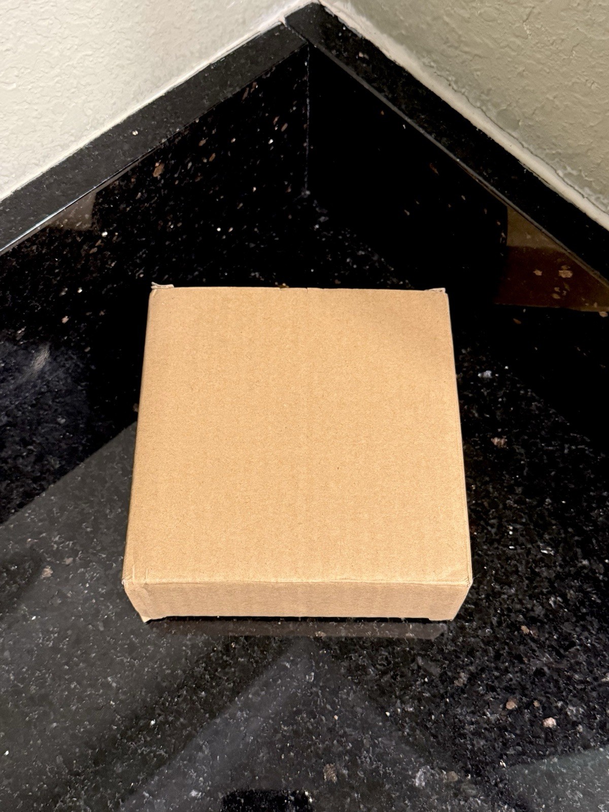 Meow Ceramic Cat Bowl SO CUTE! Brand New