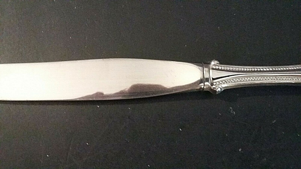 Oneida Arbor/American Harmony stainless 9 1/2" dinner knife