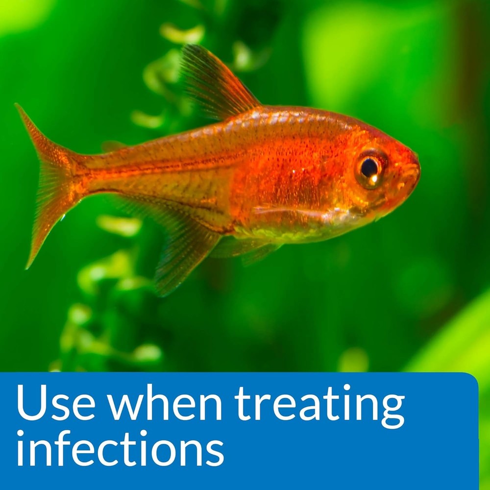 Fish Antifungal Treatment Formula
