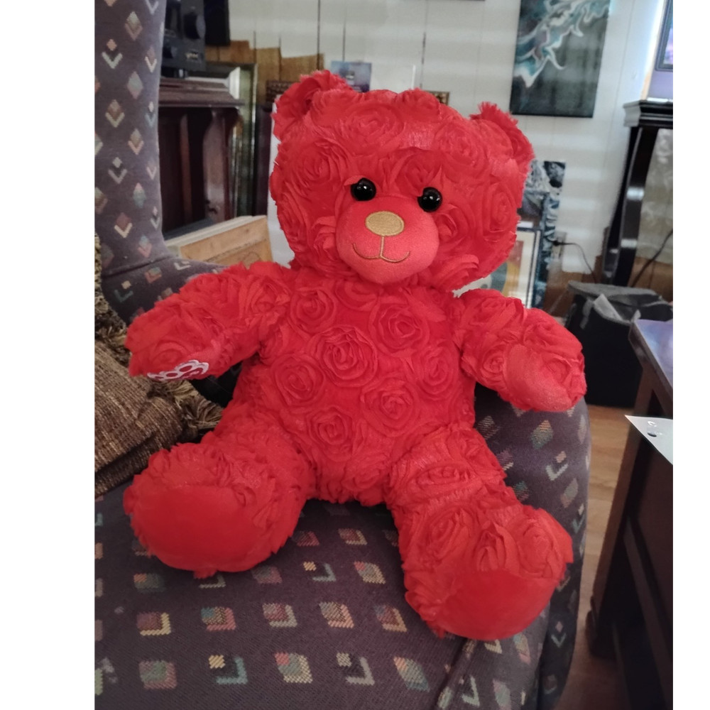 Build-A-Bear Workshop Red Rose Pattern Teddy Bear Plush