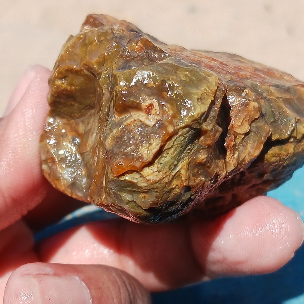 Moss Agate Jasper Unique Colors Chalcedony Matrix Rough Interesting Specimen