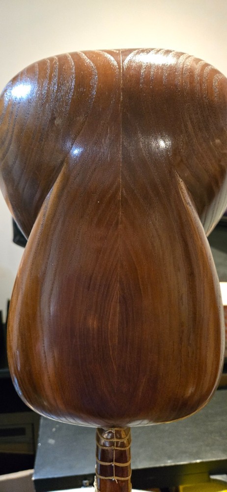 persian TAR by master Farhmand (-فرهمند)