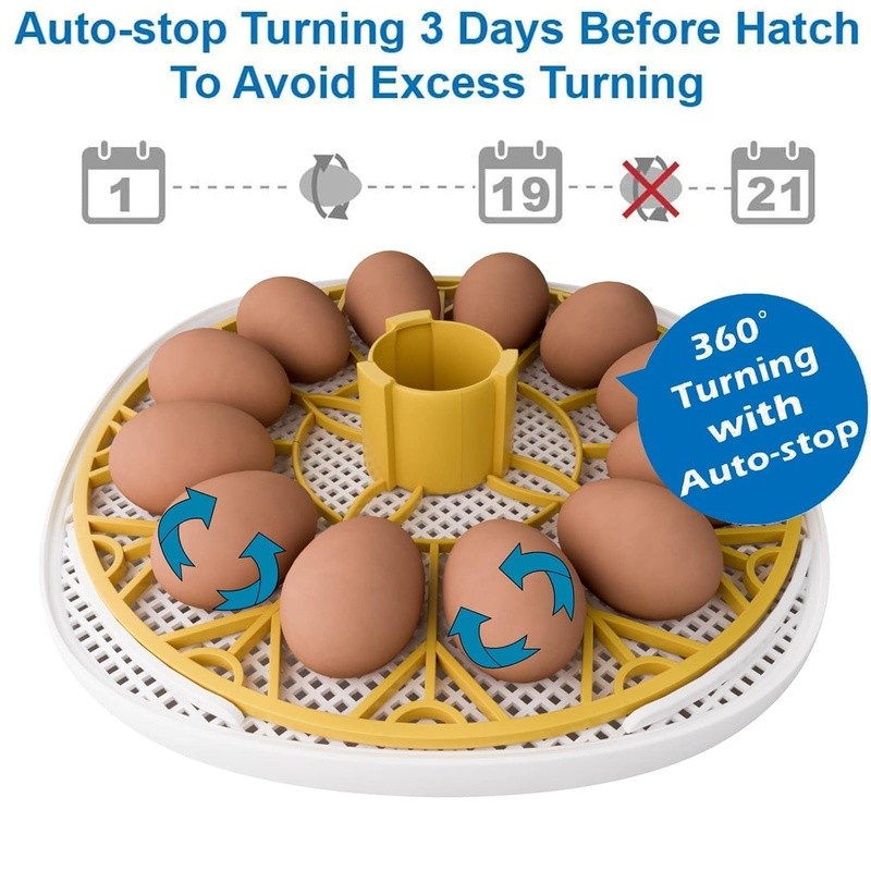Egg Incubator Automatic Turning Transparent Top External Water Addition Hatching
