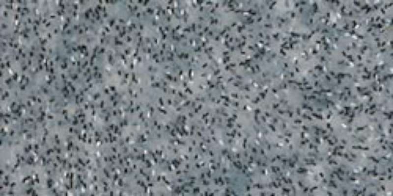 Fimo Effect Polymer Clay 2oz Granite