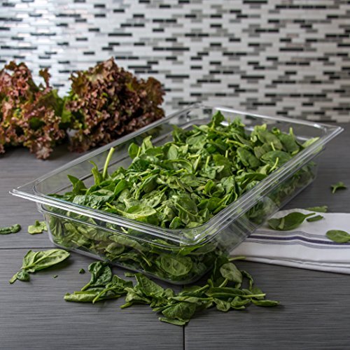 Clear Plastic Food Pan Full Size Spoonable Bottom Stacking NSF Listed Durable
