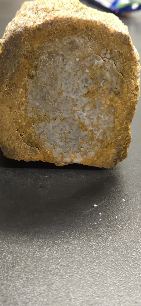 Colorado Gem Bone