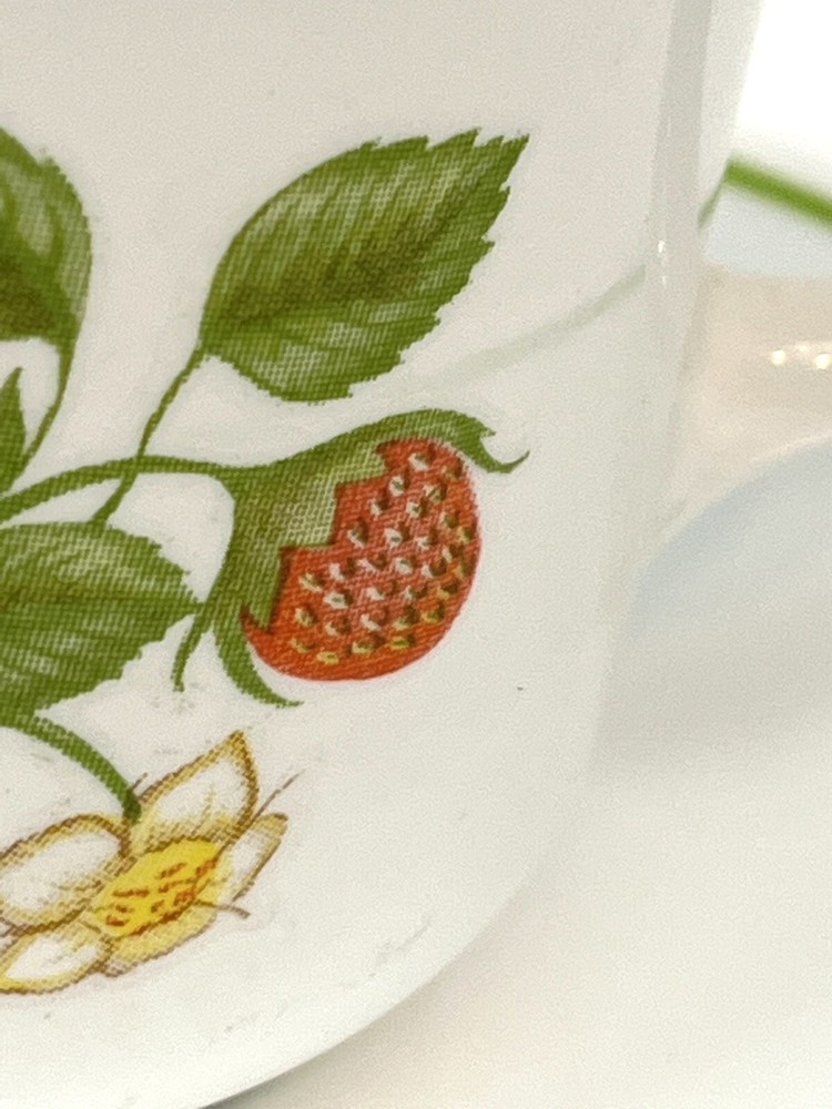 Corelle STRAWBERRY SUNDAE Dinnerware Set ~ 5 Piece Set