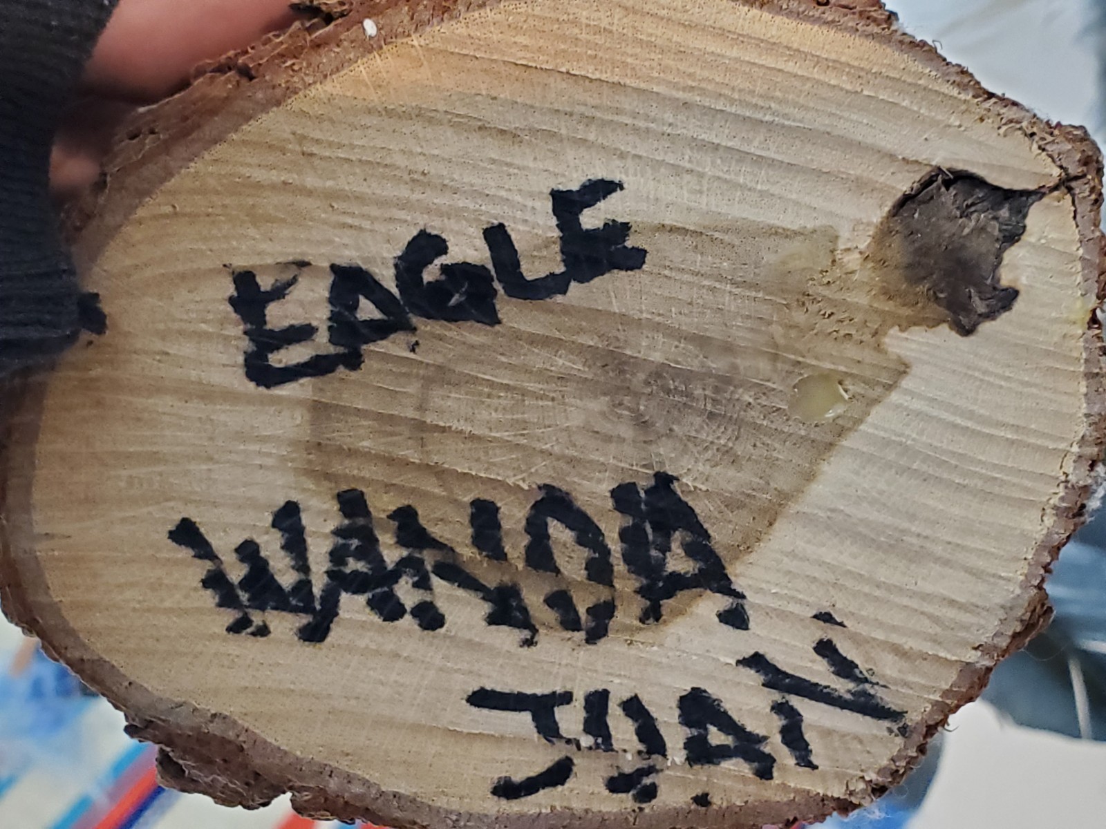 Retro Native American Signed Hopi 11" Spread Eagle Kachina Doll