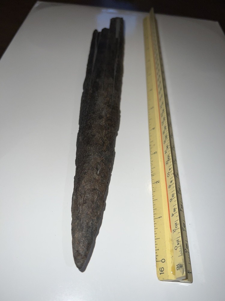 Fossilized swordfish bill