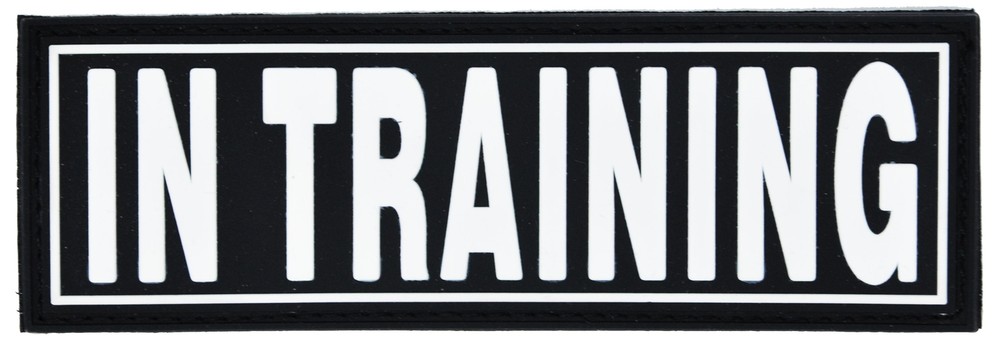 Removable 3D Rubber Patch "IN TRAINING" 2" X 6"