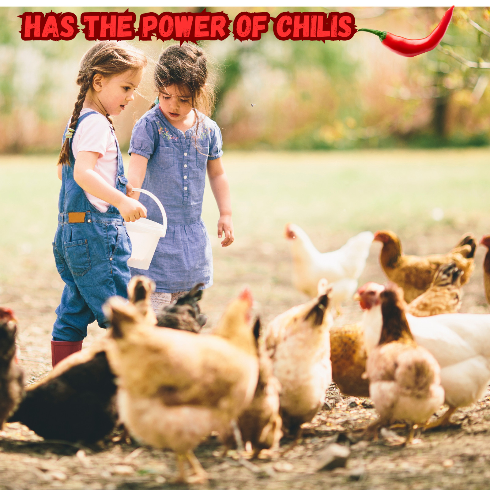 Chicken Poultry Dewormer Powder All Natural Plant Based Duck Birds 200g Bag