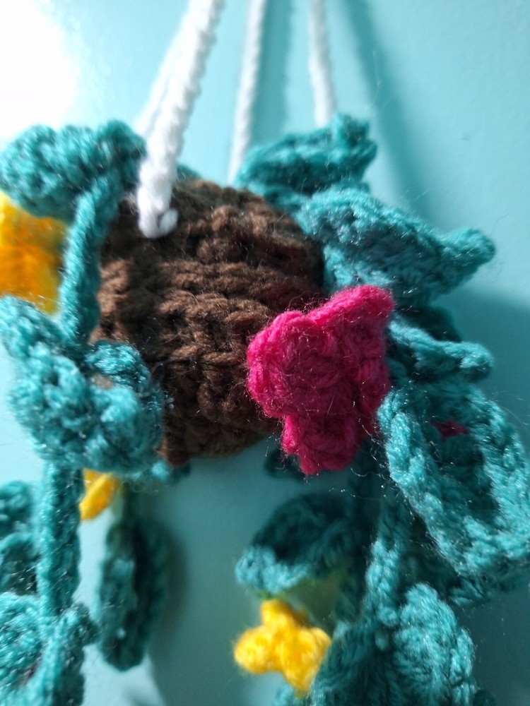 Hanging Crochet Plant