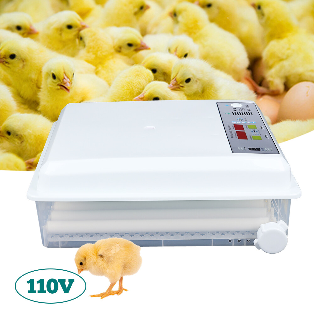 64-Egg Digital Incubator with Temperature Control & Automatic Turner