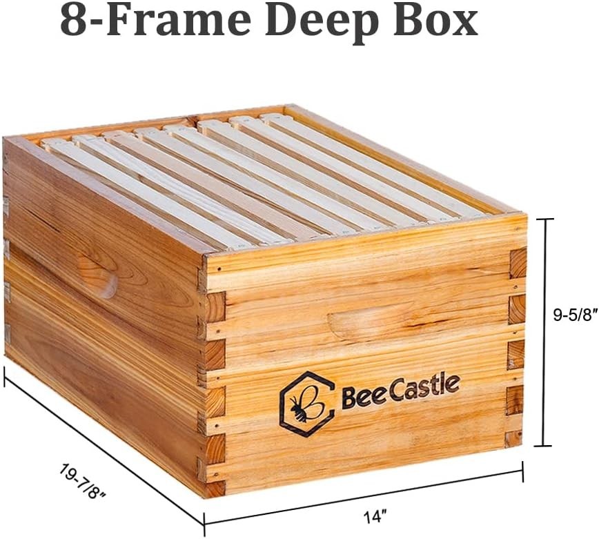Durable 8-Frame Langstroth Bee Hive Kit with Beeswax Coating & Easy Assembly