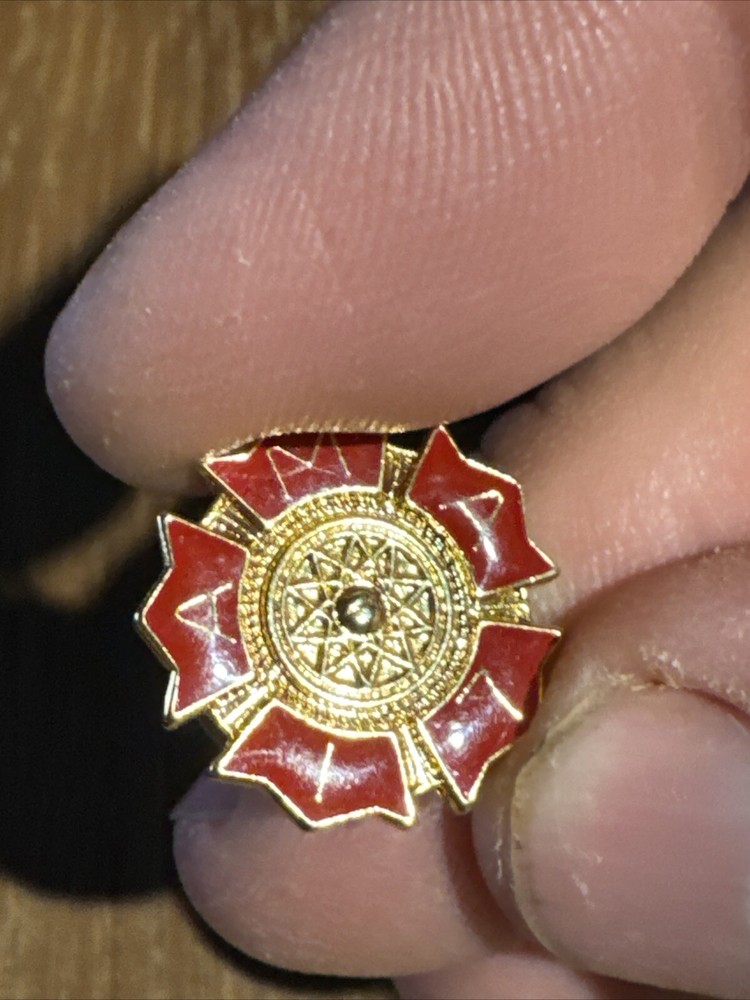 AMA 17 Year Member Pin
