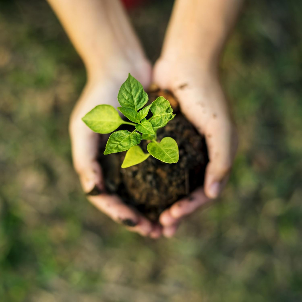 Products Buss Worm Bedding, 5-Pound,Black