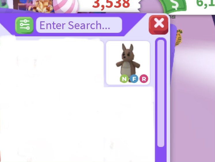 NFR Kangaroo Adopt me