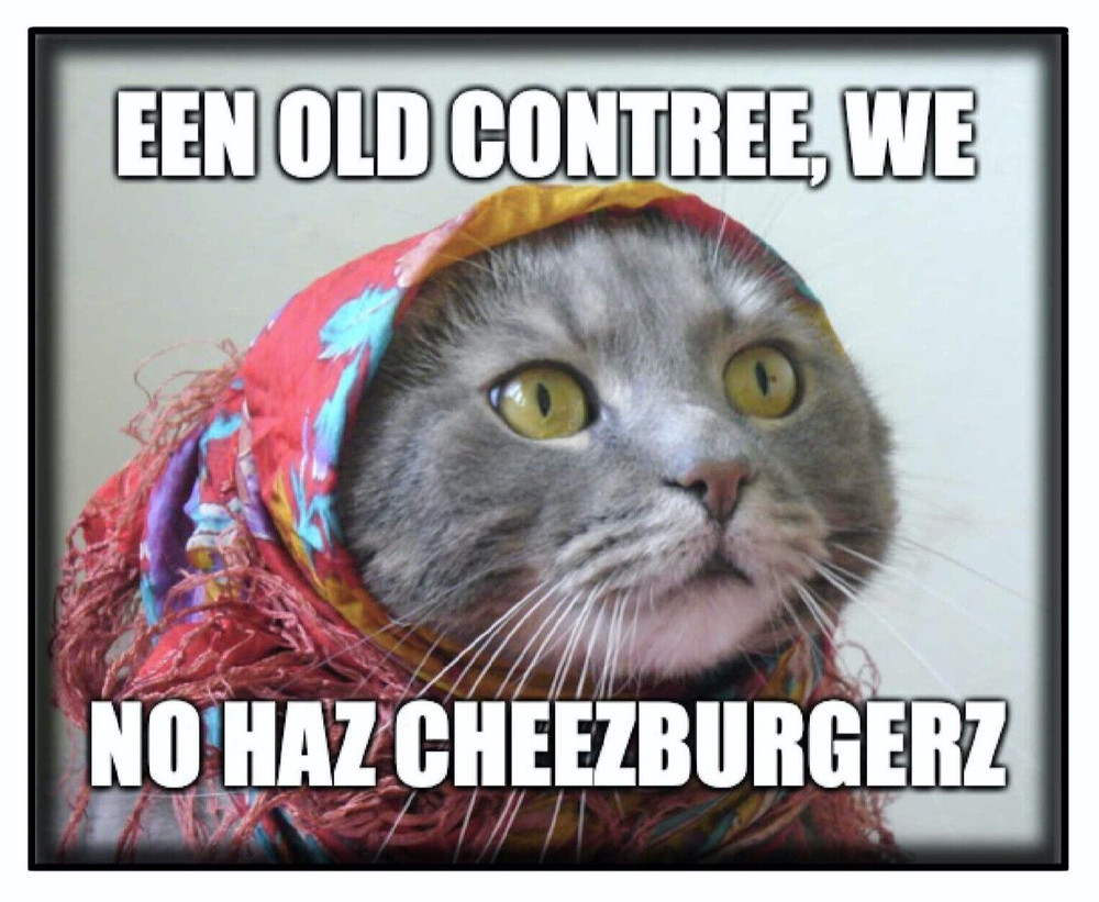 Magnet #126 Baboushka Kitty Cat Meme Cheezburgerz